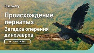 Пернатые динозавры
