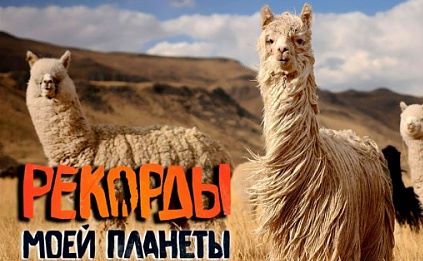 Рекорды планеты