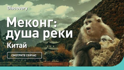 Меконг